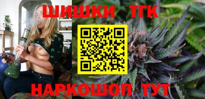 индика Ирбит