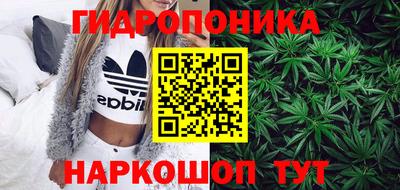 индика Ирбит