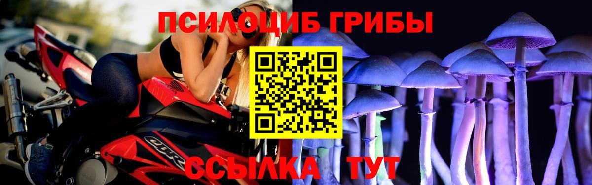 Кызыл  Псилоцибиновые грибы прущие грибы  Псилоцибиновые грибы ЛСД  цена наркотик  Вход с VPN 