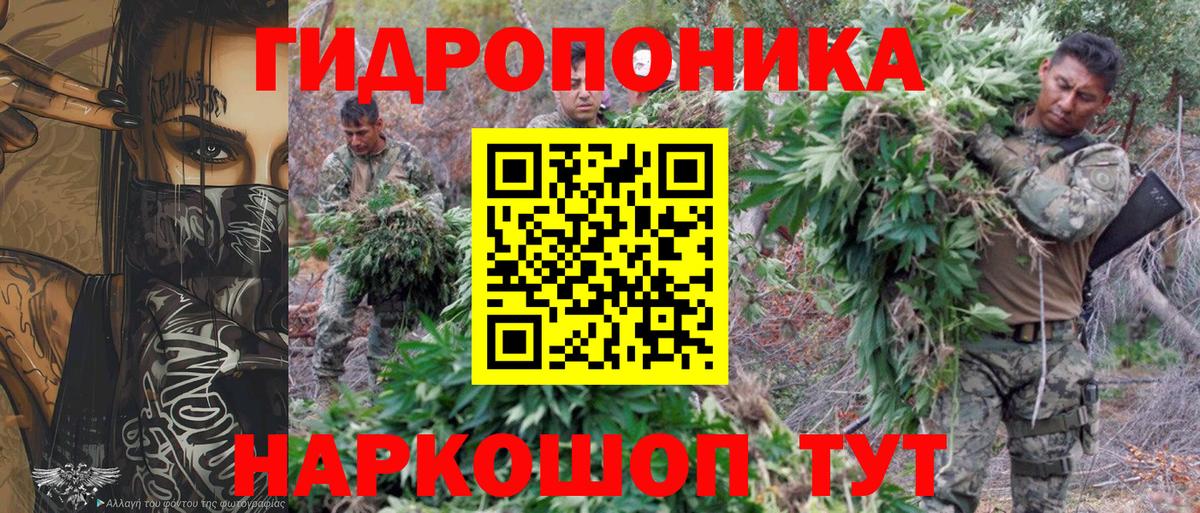 Бошки Шишки MAZAR  МАРИХУАНА план  Кызыл  Каннабис семена  Вход с VPN  Канабис индика 